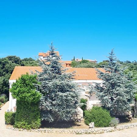 Lavender House Βίλα Mandre Εξωτερικό φωτογραφία