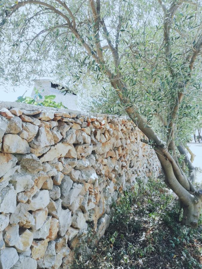 Lavender House Βίλα Mandre Εξωτερικό φωτογραφία