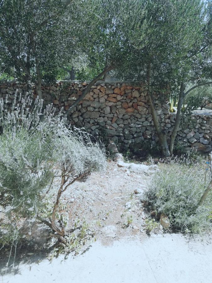 Lavender House Βίλα Mandre Εξωτερικό φωτογραφία