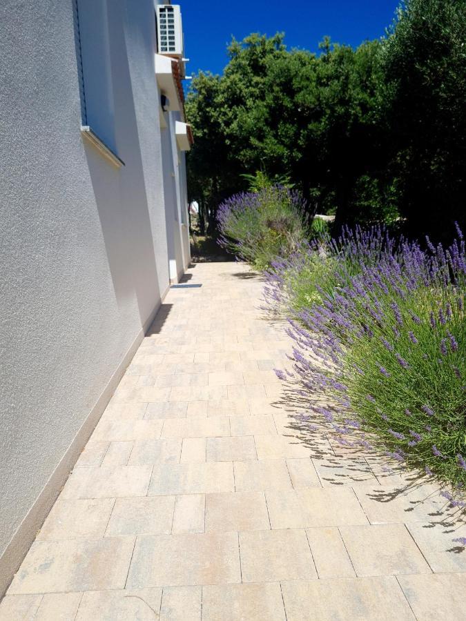 Lavender House Βίλα Mandre Εξωτερικό φωτογραφία